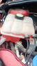 博世（BOSCH）有机型(OAT)发动机冷却液通用型汽车防冻液 冰点-45℃ 4L（红色） 实拍图
