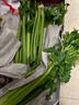 新鲜出土西芹大颗半叶绿色蔬菜榨汁专用甜脆嫩心时令蔬菜现割现发 4斤西芹实惠装 实拍图