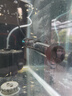 创宁鱼缸加热棒200W适合50-100L水量双控温自动恒温加温棒石英加热器 实拍图