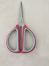 【鸿运当头】红剪刀多功能商用工业用大号剪子厨房不锈钢儿童剪裁剪线简刀园艺剪花缝纫裁缝专用学生 大号1把 实拍图