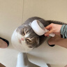 HELLOJOY宠物猫毛梳喷雾按摩梳去浮毛开结撸猫针梳猫咪梳毛专用神器猫梳子 实拍图