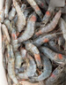 虾有虾途国产青岛大虾白虾青虾基围虾鲜虾冷冻生鲜虾类鲜活特大海捕整箱装 14-16厘米 3斤(净重) 实拍图