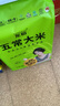 龙稻2025年当季新米【绿色 五常大米】东北正宗家庭装长粒粳米20斤 实拍图