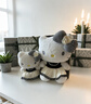 Hello Kitty三丽鸥毛绒玩具玩偶布娃娃抱枕送女友生日礼物女生 凯蒂猫公仔 实拍图