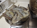 虾有虾途国产青岛大虾白虾青虾基围虾鲜虾冷冻生鲜虾类鲜活特大海捕整箱装 17-20厘米超大号 3.6斤(净重) 实拍图
