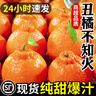 正宗四川不知火丑橘新鲜整箱水果应当季粑粑丑八怪柑橘耙耙桔子 精品果 【70-80mm】性价比 9斤 实拍图