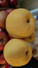 甜醉了 烟台苹果黄元帅粉面苹果黄金帅黄香蕉山东新鲜水果当季整箱鲜果 净重5斤特大果85mm 实拍图