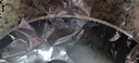 金钥匙平底不粘煎锅商用厨师专用款32cm大号复底铝煎盘后厨酒店GK-JP320 实拍图