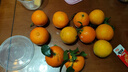 生活＆好管家 四川爱媛38号果冻橙柑橘手剥橙新鲜橙子水果应季时令桔橘子 净重4.5斤【超划算-80%人选】 果径75-80MM【大果】 实拍图