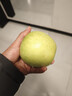 京地达山东青森苹果青苹果净重4.5斤单果190g新鲜水果源头直发包邮 实拍图