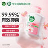滴露（Dettol）洗手液滋润500g*6 抑菌洗手液家庭装大桶儿童消毒无酒精温和护手 实拍图