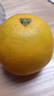 【热销】湖北秭归脐橙鲜果上市 带箱9斤65-70mm 实拍图