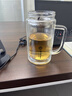 富光拾喜双层玻璃杯男女办公杯耐热防烫带手柄带滤网大容量杯子520ml黑色 实拍图