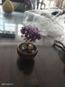 悠梵萌桌面开业摆件招财紫水晶树盆栽陶瓷办公桌生日礼物创意摆件 实拍图