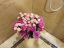 云南鲜花批发品质玫瑰百合水养鲜切花送女友水养鲜花源头直发 绣球粉色-1支（深粉浅粉随机发货） 【任选2件—不收运費】 实拍图