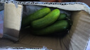【超市品质】山东新鲜水果黄瓜嫩青瓜生吃蘸酱生鲜蔬菜减肥搭配 水果黄瓜 200g 试吃 实拍图
