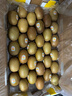 佳沛（zespri）新西兰 新果季 阳光金奇异果33粒原箱单果重约101-114g 猕猴桃 实拍图