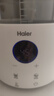 海尔（Haier）恒温水壶婴儿调奶器玻璃冲泡奶粉机温热暖奶器电热烧水壶T17E 实拍图