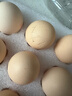 京鲜生柴鸡蛋30枚 3斤 无抗生素 谷物喂养鲜鸡蛋 源头直发 实拍图