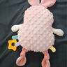 澳贝（auby）婴幼儿玩具豆豆绒小兔子毛绒安抚玩偶可入口水巾哄睡+牙胶啃咬 实拍图