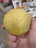 南步河北赵县雪花梨 赵州特产冰糖雪梨秋月梨香梨鸭梨皇冠梨新鲜水果 净重4.5斤 大果【单果280g+】彩箱 实拍图