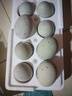 鄱湖鸭舍 无铅松花蛋皮蛋溏心松花皮蛋无铅工艺变蛋厂家麻鸭蛋批发 60-70克/枚【10枚-优惠】 实拍图