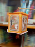 宫薰中秋节灯笼diy手工制作材料包儿童宫灯学校幼儿园兔子花灯走马灯 实拍图