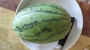 现摘现发2k西瓜当季手剥薄皮小糖丸西瓜新鲜水果冰糖子小西瓜 4-5斤（1-2个） 实拍图