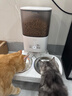 霍曼（Homerun）宠物智能自动喂食器猫粮狗粮定时猫咪自动投食机不锈钢双碗增高版 实拍图