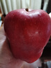 京鲜生 甘肃天水花牛苹果 又大又红 净重10斤 单果240g以上 新鲜水果  实拍图