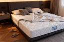 A家乳胶床垫静音独立弹簧3E环保椰棕偏硬护脊硬睡眠0胶水床垫家用A8 (2.0)独立袋装弹簧+进口天然乳胶+3E护脊环保棕 150*200*22cm 实拍图