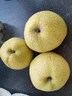 正鲜季（ZHENGXIANJI）正宗砀山梨酥梨薄皮梨当季新鲜水果砀山梨雪梨脆甜大果整箱安徽 5斤 【大果250g+】砀山直发|脆甜多汁 实拍图