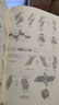 折纸几何学 实拍图