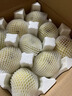 正鲜季（ZHENGXIANJI）正宗砀山梨酥梨薄皮梨当季新鲜水果砀山梨雪梨脆甜大果整箱安徽 5斤 【大果250g+】砀山直发|脆甜多汁 实拍图