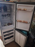 上菱183升双开门冰箱小型出租房2-3人用 出租屋家用两门二门小户型双门电冰箱以旧换新BCD-183D 实拍图