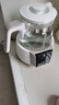 小白熊恒温水壶婴儿调奶器奶瓶冲泡奶粉热水壶温奶器1.2L烧水壶 0857 实拍图