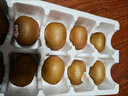佳沛（zespri）绿奇异果经典果16粒礼盒单果约86-103g 水果 猕猴桃 实拍图
