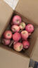 甜醉了 烟台苹果栖霞红富士新鲜水果生鲜山东特产脆甜整箱平果礼盒礼品 净重8.6斤特大果85-90mm 实拍图