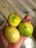 海南百香果广西百香果 变黄变皱皮更甜 泡水喝 生吃 调味新鲜水果 3粒百香果 实拍图