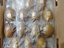 佳沛（zespri）新西兰 阳光金奇异果12粒礼盒特大果单果约122-146g 猕猴桃 水果 实拍图
