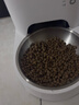 小佩智能自动喂食器SOLO白色 猫碗猫狗喂食器定时定量猫咪自动投食器 实拍图