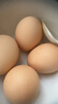 密农人家新鲜土鸡蛋 正宗农家土鸡蛋 生鲜鸡蛋 柴鸡蛋农家笨鸡蛋包邮 30枚 实拍图