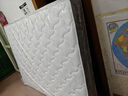 林氏家居原林氏木业弹簧椰棕床垫20cm厚硬垫家用卧室护脊垫CD618A1.5米x2m 实拍图
