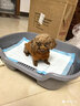 HELLOJOY狗狗厕所小型犬专用尿盆防踩屎便盆不锈钢小狗用大小便神器狗砂盆 实拍图