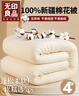 无印良品100%新疆棉花被子棉絮床褥子棉胎垫被铺底春秋纯棉被芯4斤150x200 实拍图