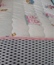 匹鲁幼儿园床垫床褥婴儿垫被宝宝A类儿童床午睡全棉软床垫子 60*120cm 实拍图