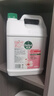 滴露（Dettol）洗手液补充装大桶消毒滋润5L 儿童家庭装杀菌护手 实拍图
