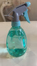 喷壶浇花浇水喷雾器气压式喷水壶家用园艺养花500ml 南瓜喷壶透蓝【1个装】 实拍图