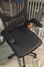 星奇堡电脑椅家用学习升降椅子书桌椅办公人体工学电竞椅写字舒适久坐 【海绵款】黑框黑网+头枕 实拍图