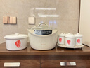天际（TONZE）电炖锅 隔水炖锅 电炖盅 煲汤锅煮粥炖汤锅 熬粥燕窝养生锅 智能预约 白瓷一锅5胆 GSD-323GC 3.2L 实拍图